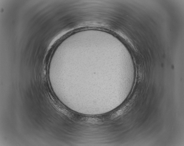 X0000081631070200702121659