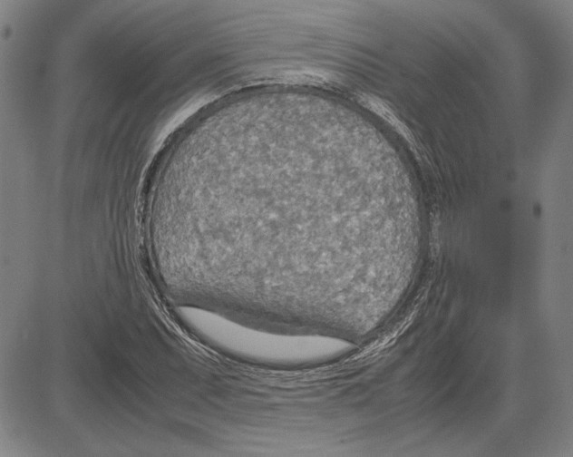 X0000081631071200702121659