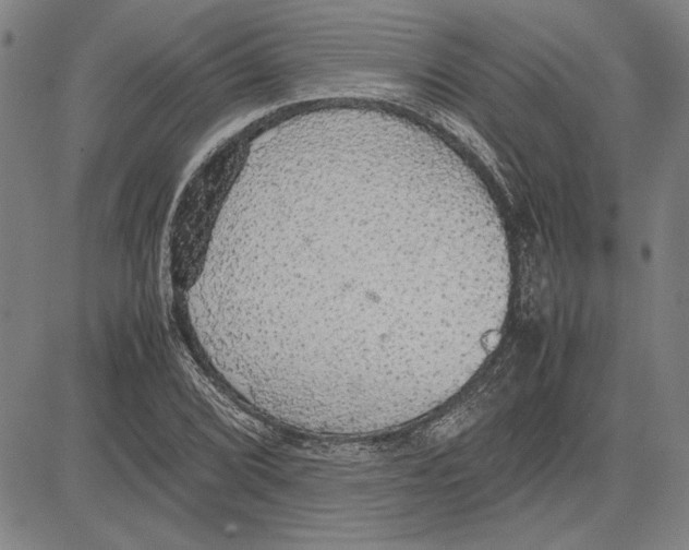 X0000081631072200702121659