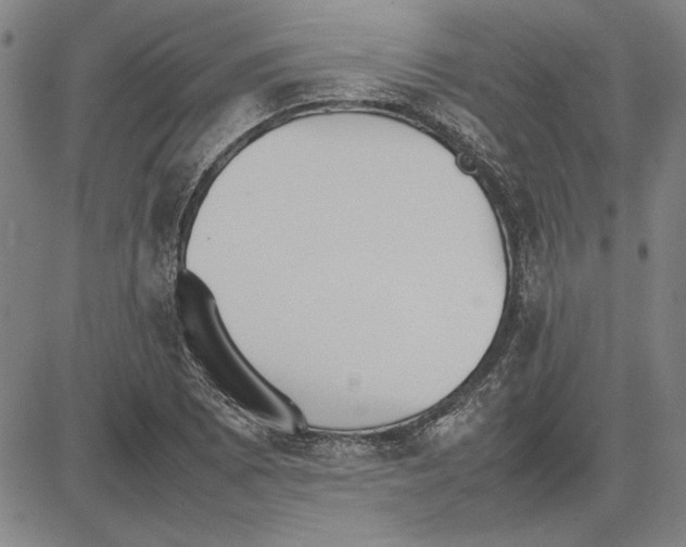 X0000081631073200702121659