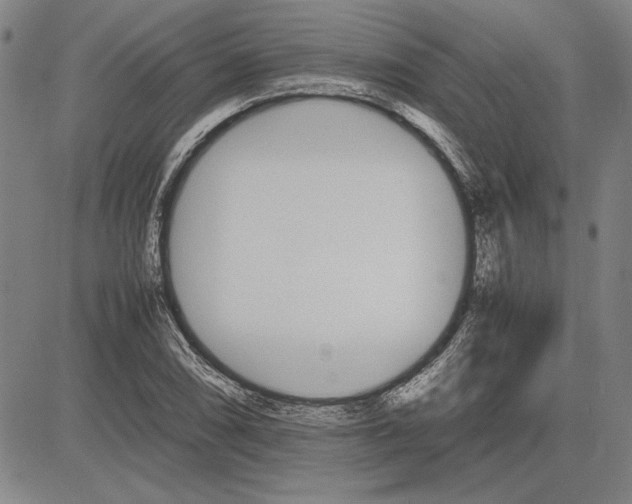 X0000081631074200702121659