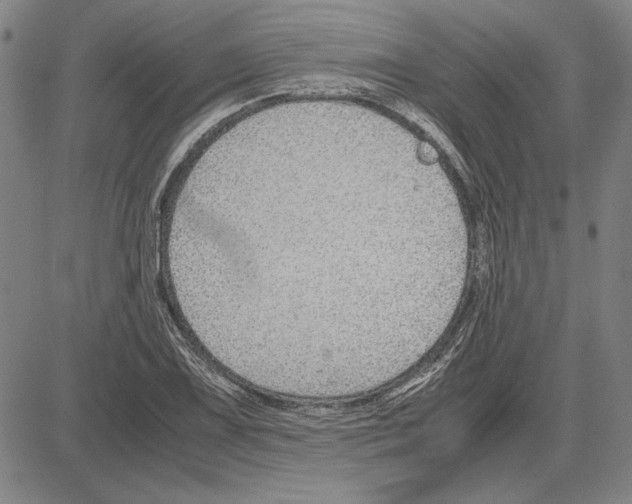 X0000081631075200702121659