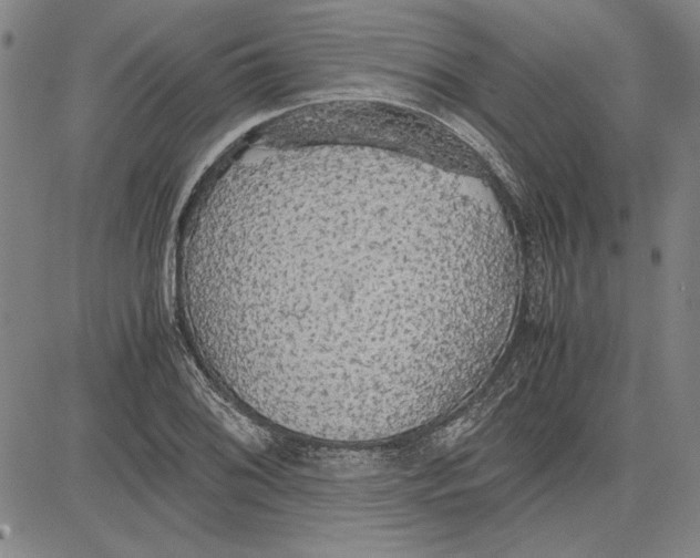 X0000081631076200702121659