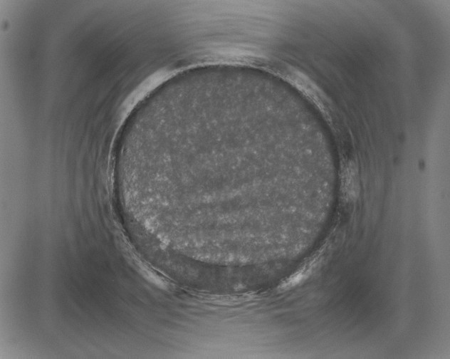 X0000081631077200702121659