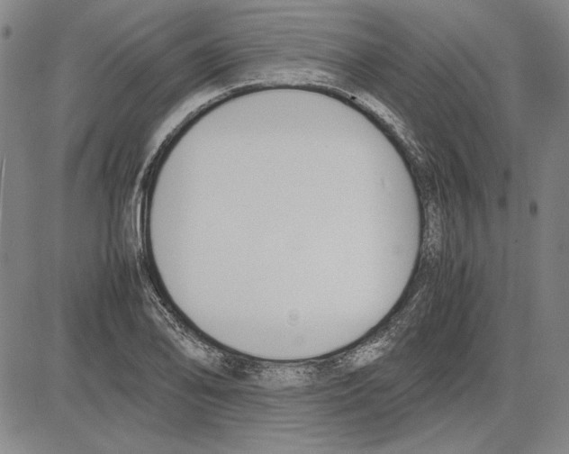 X0000081631078200702121659