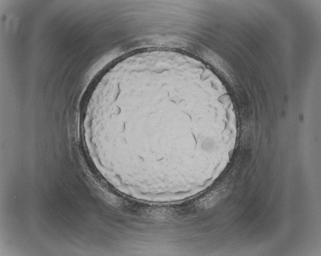 X0000081631079200702121659