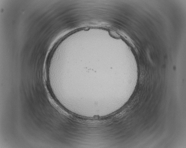 X0000081631080200702121659