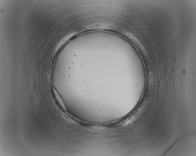 X0000081631081200702121659