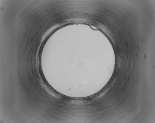 X0000081631082200702121659