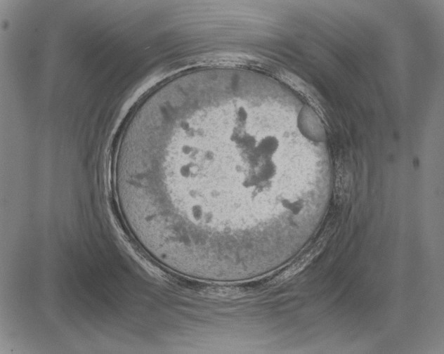 X0000081631083200702121659