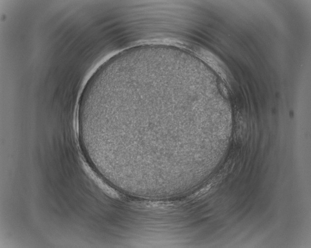 X0000081631084200702121659