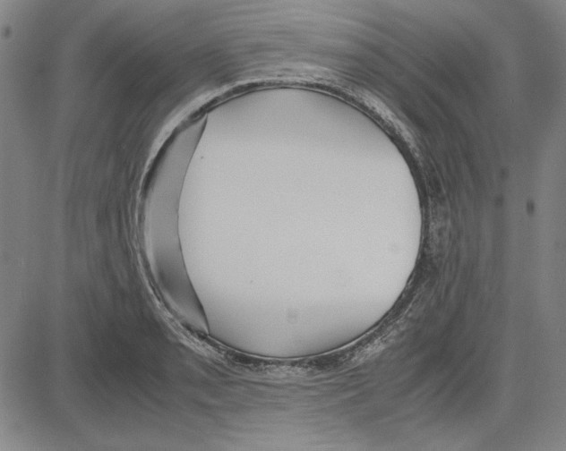 X0000081631085200702121659