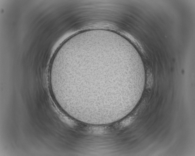 X0000081631086200702121659