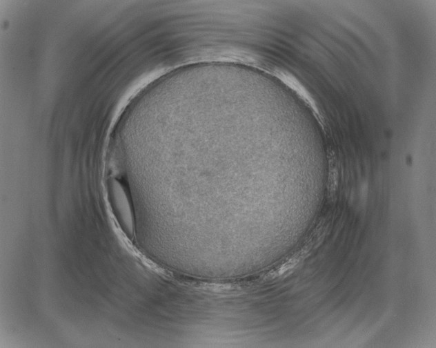 X0000081631088200702121659