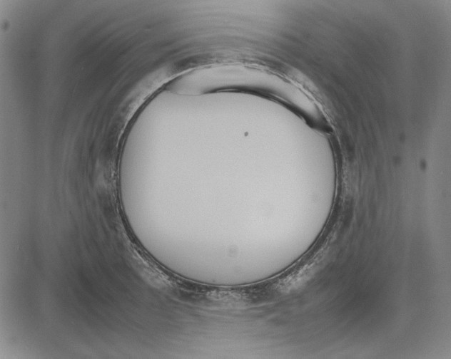 X0000081631089200702121658