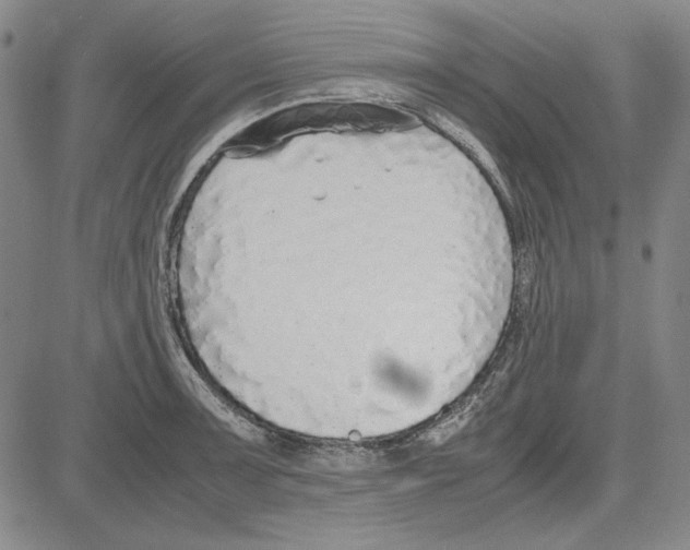 X0000081631091200702121658