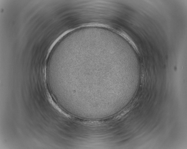 X0000081631092200702121658