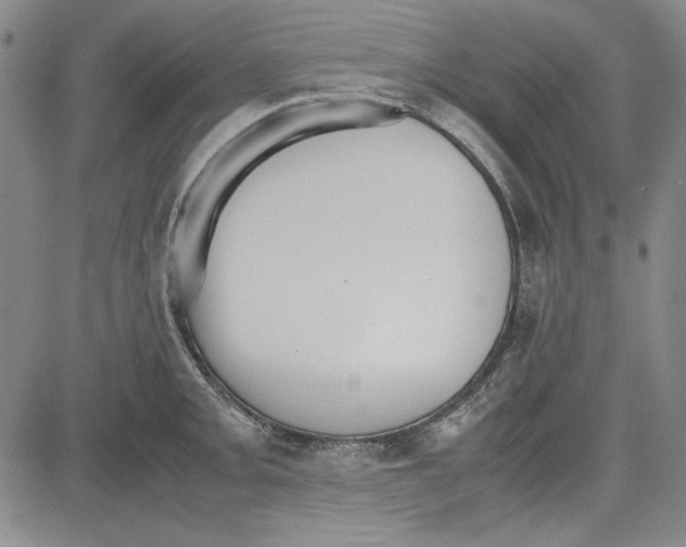 X0000081631093200702121658