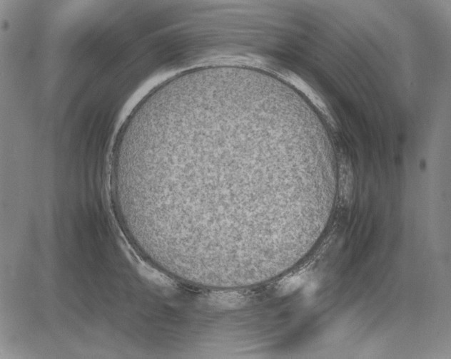 X0000081631094200702121658