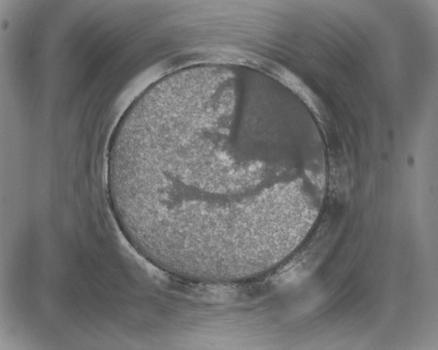 X0000081631095200702121658