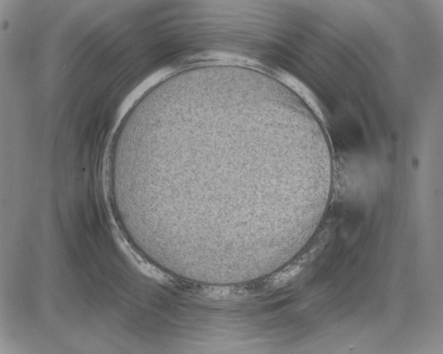 X0000081631098200702121658