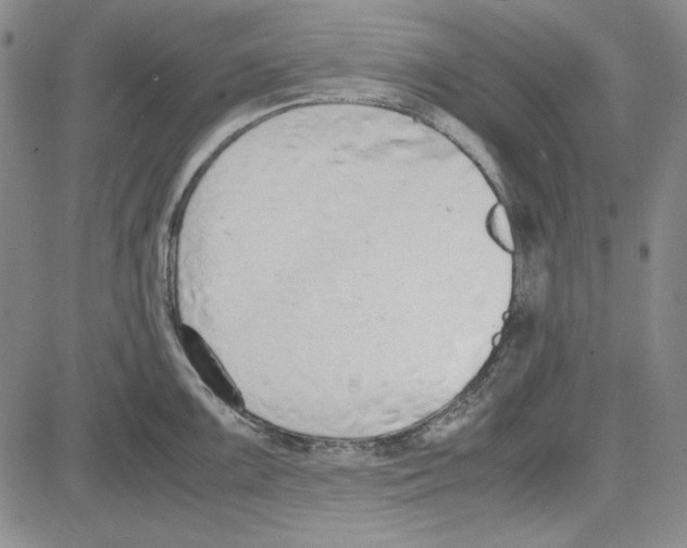 X0000081631099200702121658