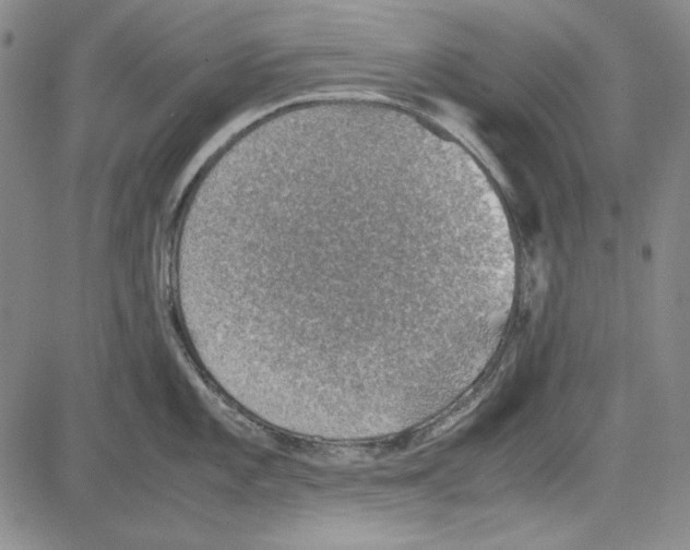 X0000081631101200702121658