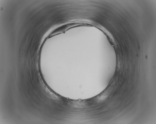 X0000081631102200702121658