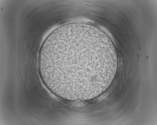 X0000081631103200702121658