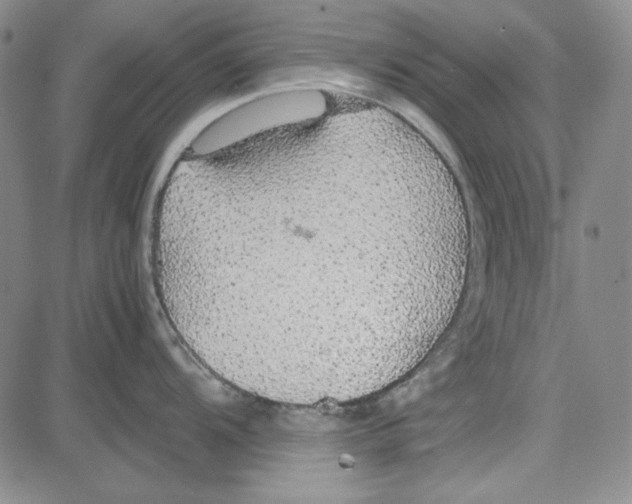 X0000081631104200702121658