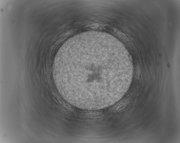 X0000081631105200702121657