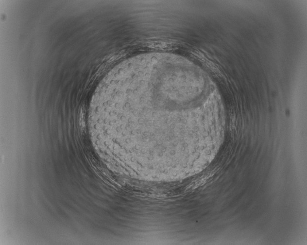 X0000081631106200702121657