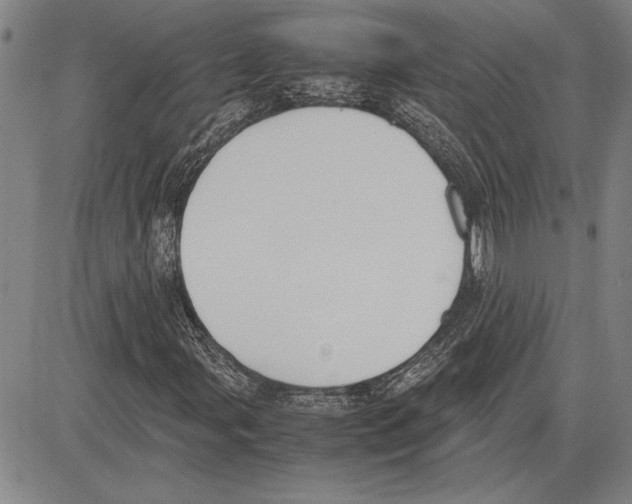 X0000081631107200702121657