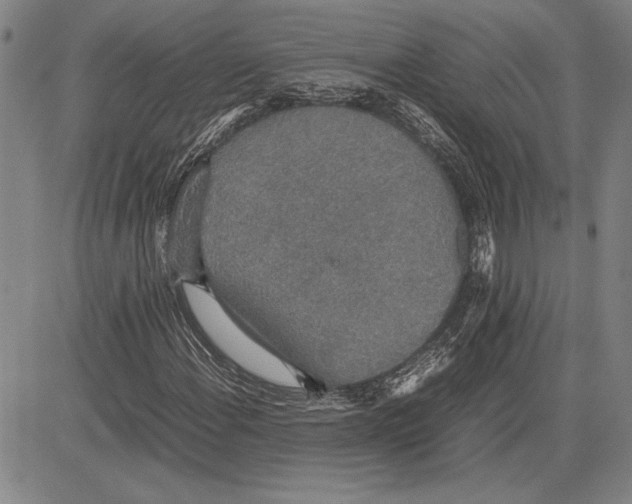 X0000081631108200702121658