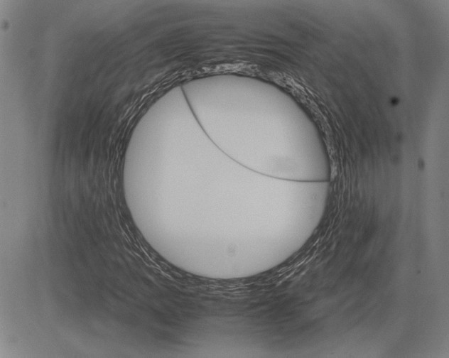 X0000081631109200702121658