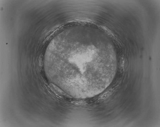 X0000081631110200702121658