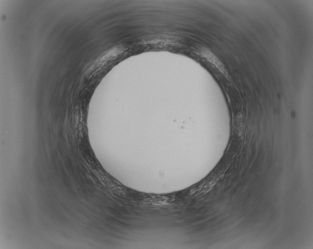 X0000081631111200702121658