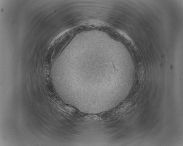 X0000081631112200702121658