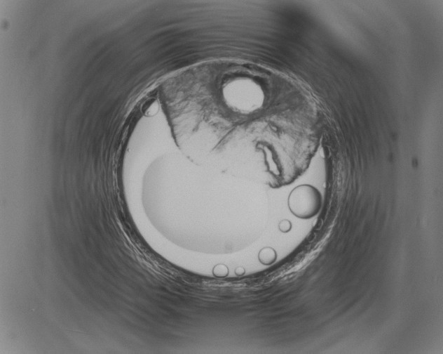 X0000081631113200702121658