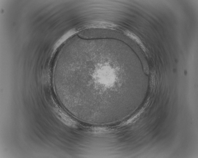 X0000081631114200702121658