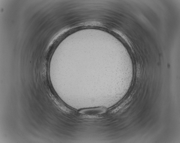 X0000081631115200702121658