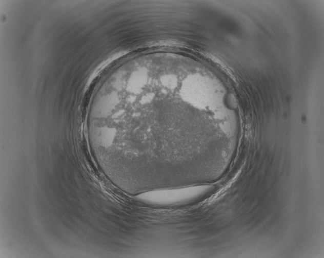 X0000081631117200702121658