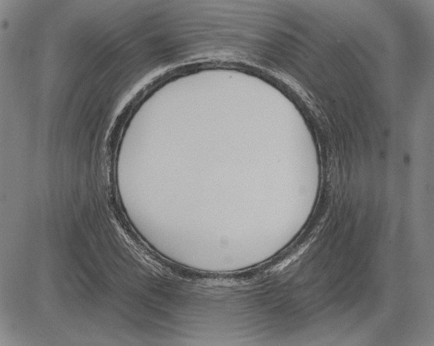 X0000081631118200702121658