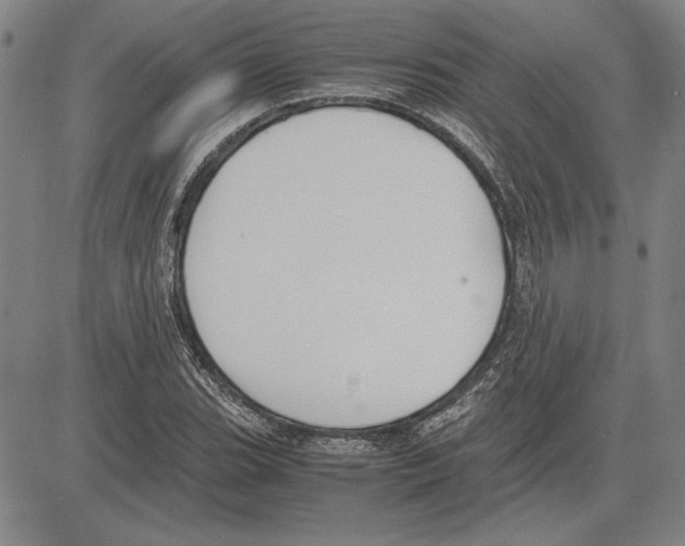 X0000081631119200702121658