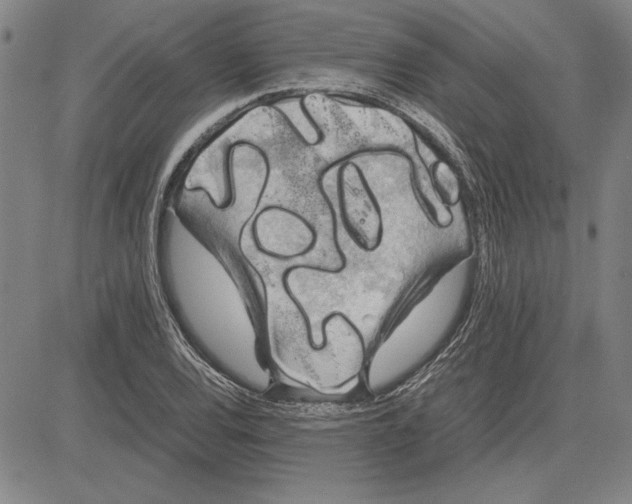 X0000081631120200702121658