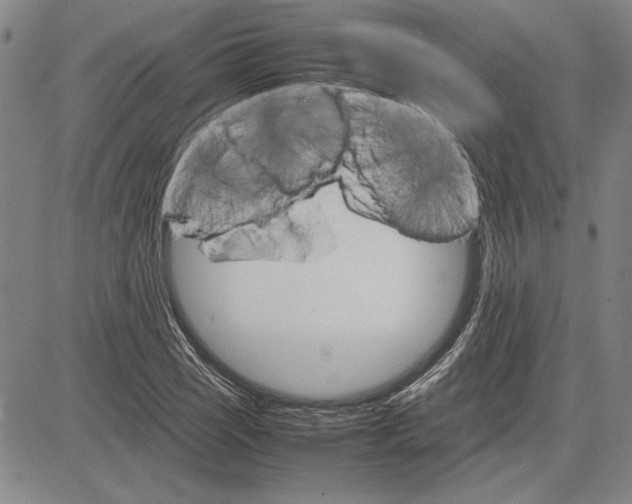 X0000081631121200702121658