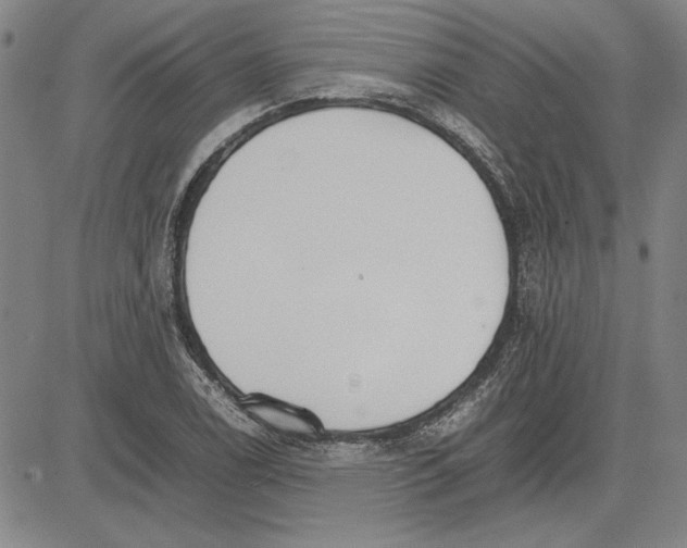 X0000081631122200702121658