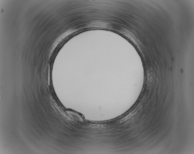 X0000081631123200702121658