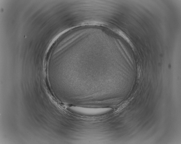 X0000081631124200702121658