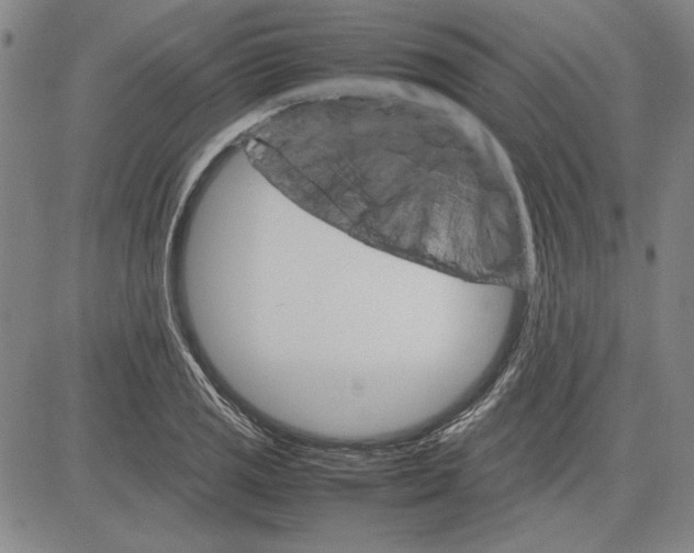 X0000081631125200702121658